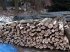 Prodej palivového dřeva - Václav Ronner