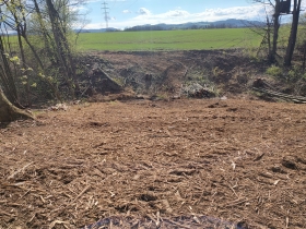 Arboristické a lesnické služby