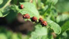 Hnojiva, pesticidy, zemědělská chemie